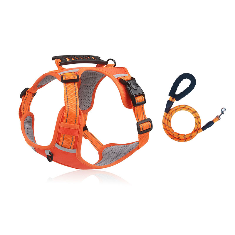 Anti – Escape Dog Leash with Reflective Strips